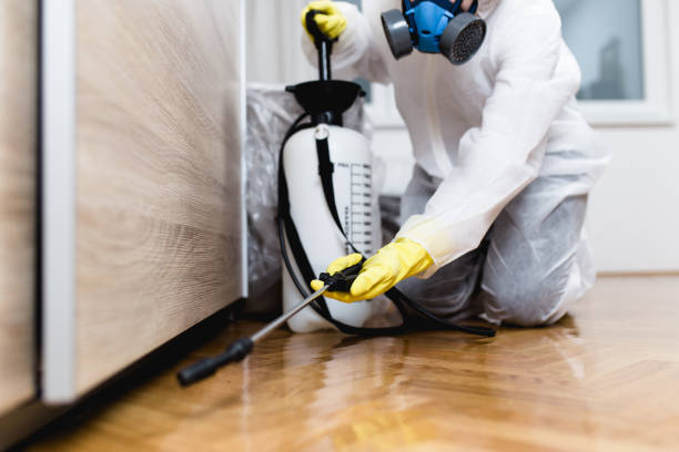 Reliable Huber Ridge, OH Pest Control Solutions