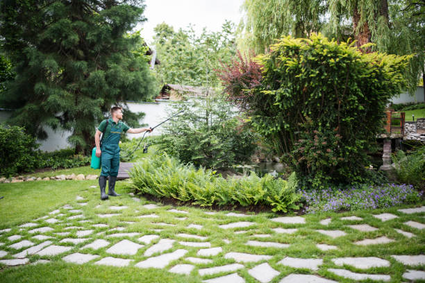 Best Best Pest Control Companies  in Huber Ridge, OH