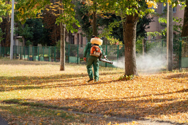 Wildlife Control Services in Huber Ridge, OH