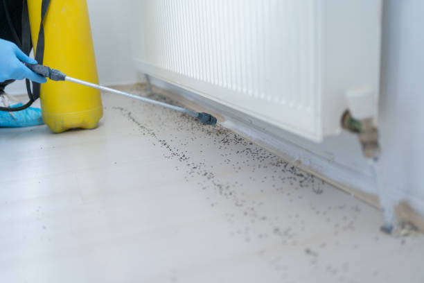 Best Mosquito Control Services  in Huber Ridge, OH