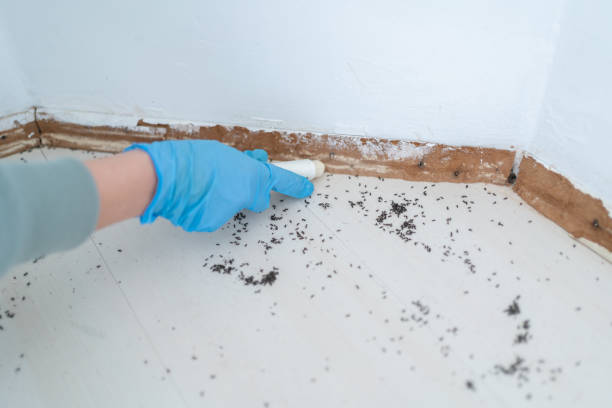 Best Pest Prevention Services  in Huber Ridge, OH