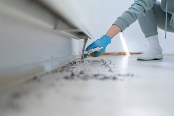 Best Pest Control for Businesses  in Huber Ridge, OH