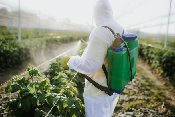 Best Residential Pest Control  in Huber Ridge, OH